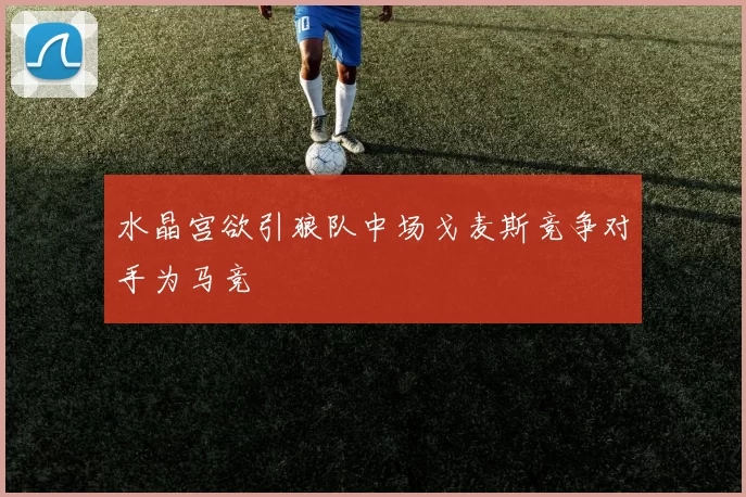 水晶宫欲引狼队中场戈麦斯竞争对手为马竞
