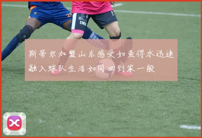 斯蒂尔加盟山东感受如鱼得水迅速融入球队生活如同回到家一般