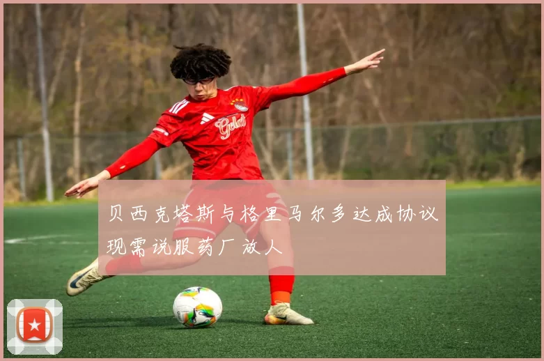 贝西克塔斯与格里马尔多达成协议现需说服药厂放人